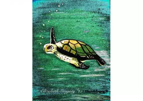 Sea turtle art print